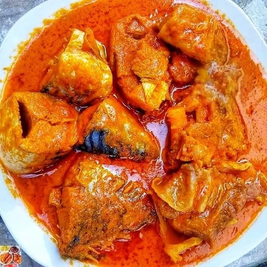 Titus Fish In Stew
